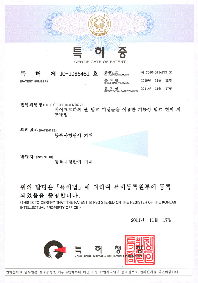 ��ɼ� ��ȿ ���� �������